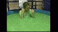 preview pic extreme.dunktankdownload.com
