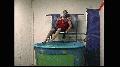 preview pic extreme.dunktankdownload.com